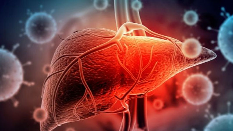 Hepatitis: Kenali Jenis dan Cara Mencegahnya untuk Lindungi Hati Anda – PAFI Sintang