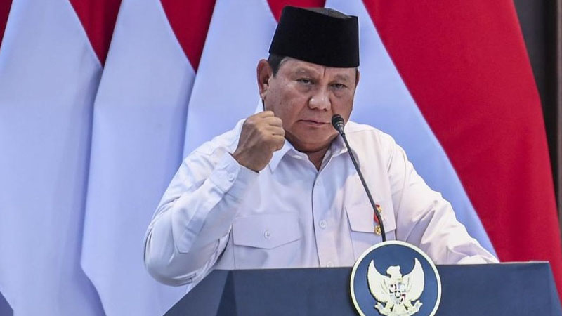 Prabowo Umumkan Rekor Produksi Beras dan Jagung